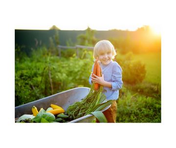 The Value of Rural Grandparents