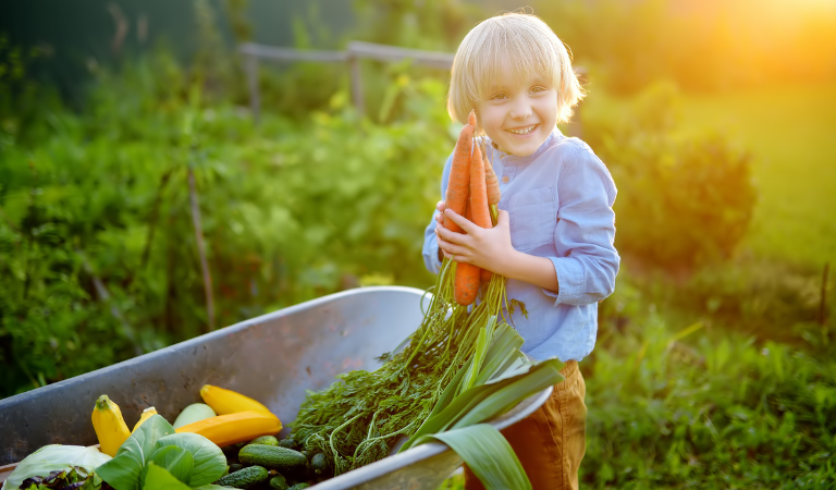 Young child holding vegetables from the garden